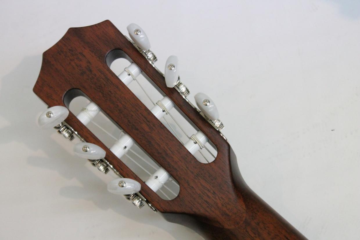 Taylor 314ce-N（新品特価/送料無料）［デジマートSALE］【楽器検索