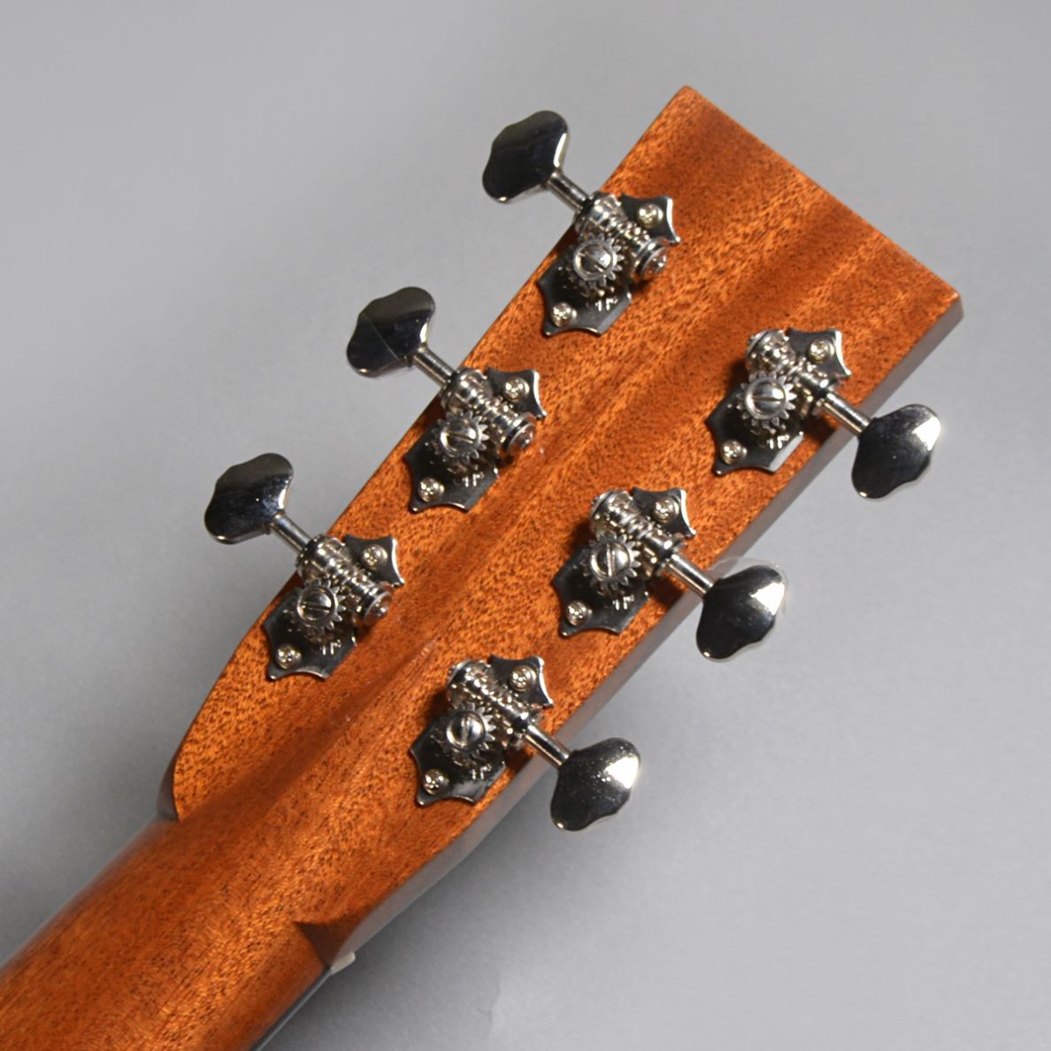 ASTURIAS TRAD D Reverence（B級特価/送料無料）【楽器検索