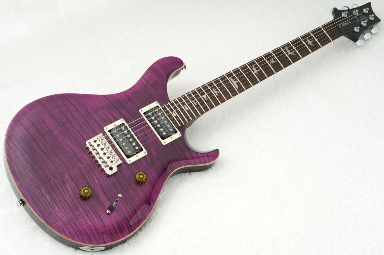 Paul Reed Smith(PRS) SE CUSTOM 24 ～Amethyst～ #CTIG118907 [3.54kg