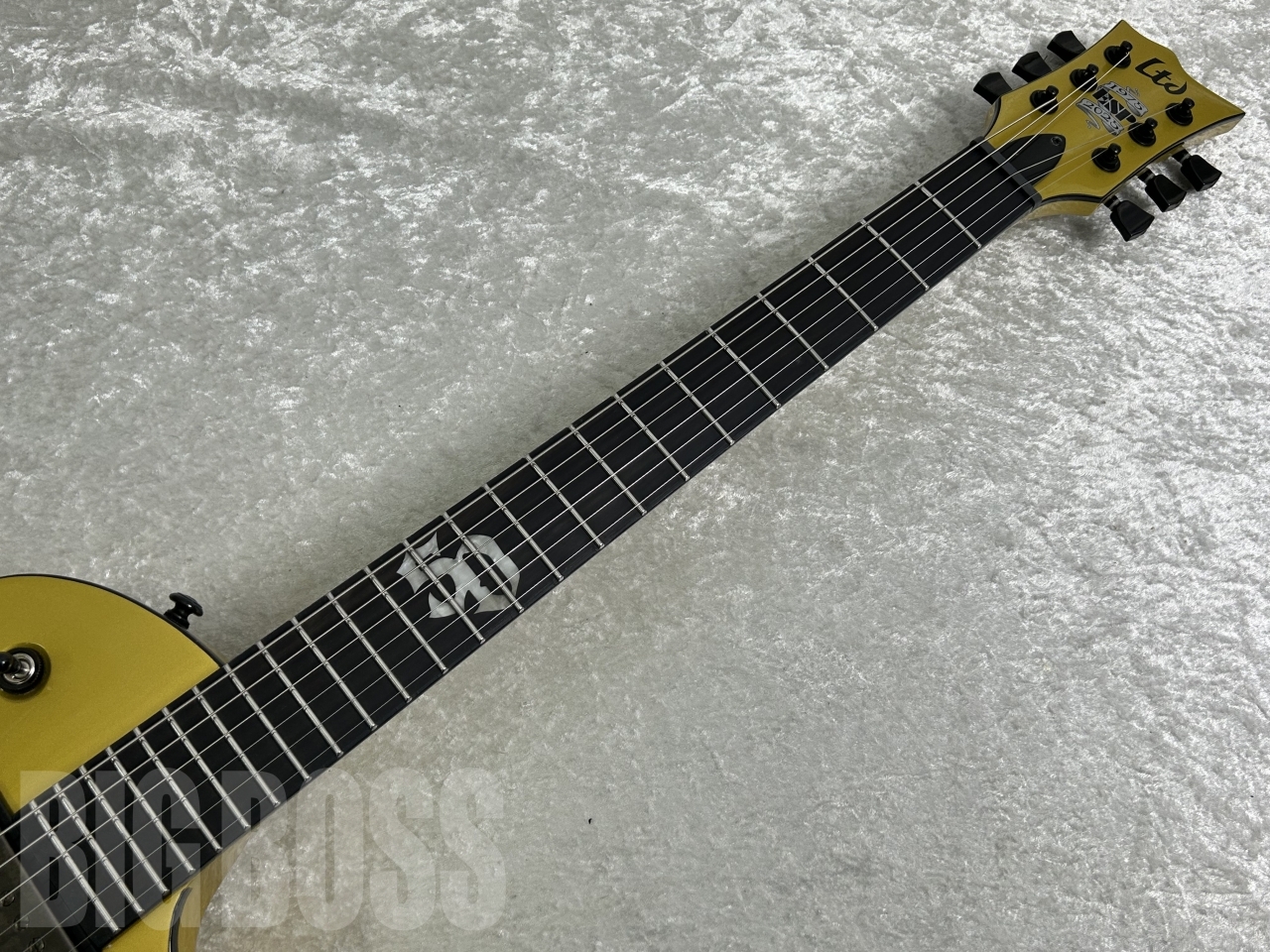 LTD EC-2025 50th Anniversary(Metallic Gold)（新品/送料無料）【楽器