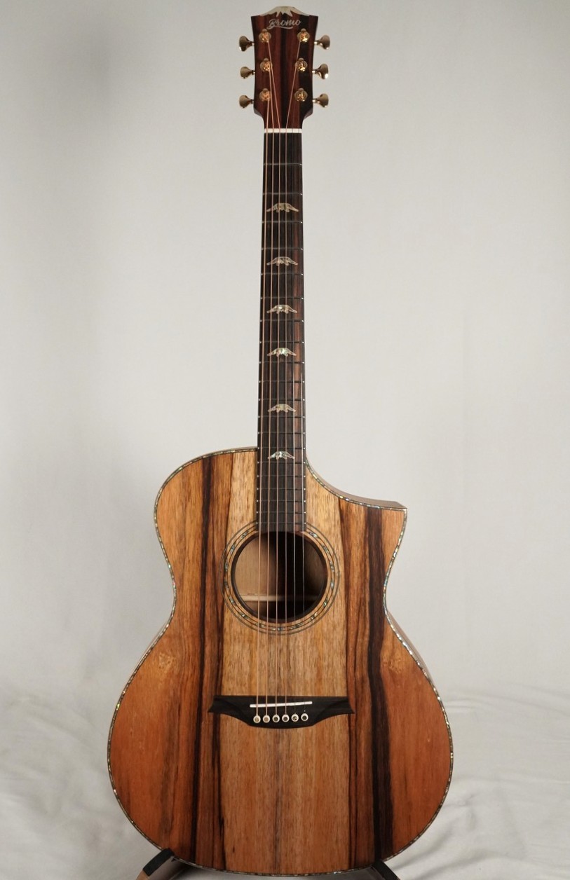 Bromo Guitars BAR4GCE【マンゴーボディ!】【オール単板】（新品