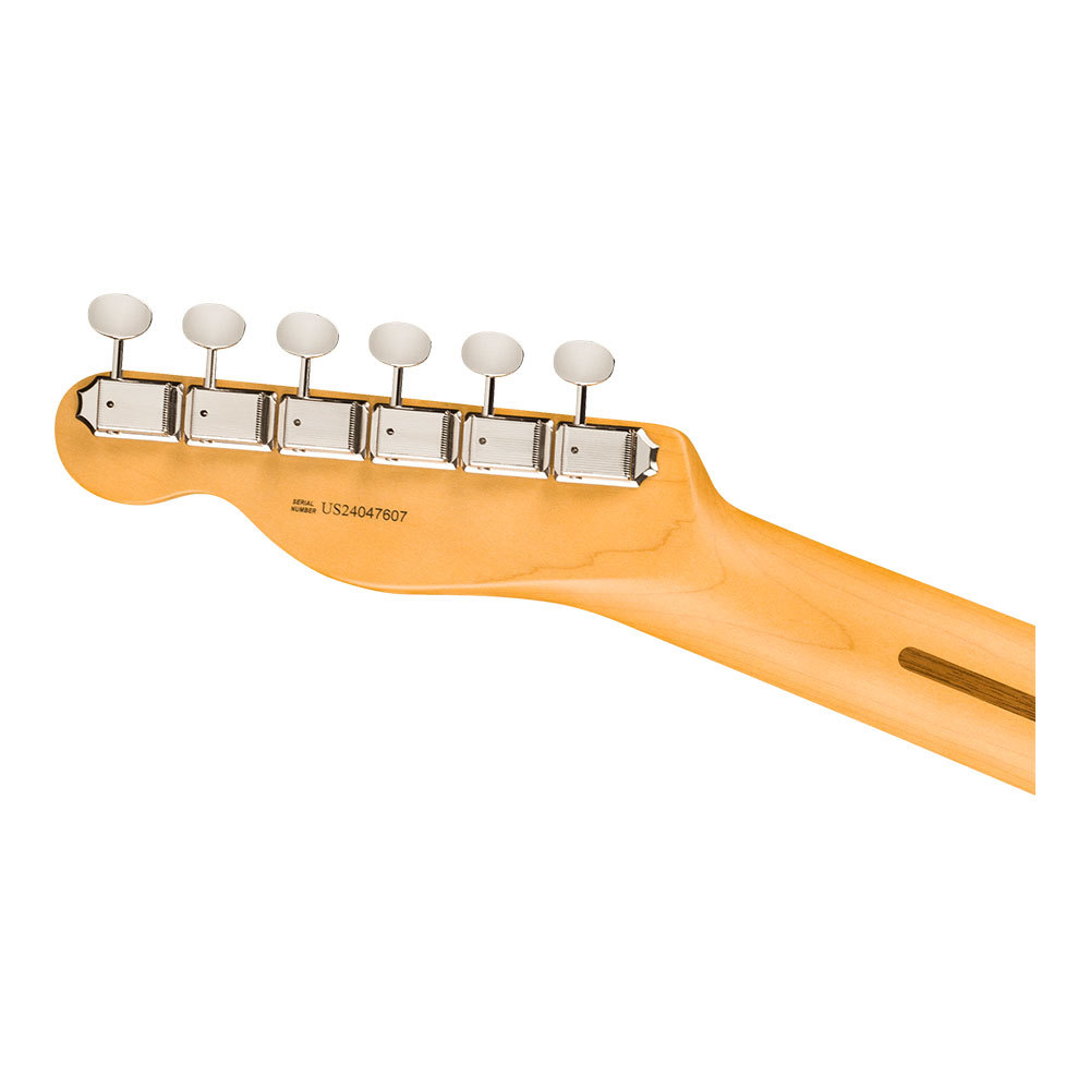 Fender Fender フェンダー American Professional Classic Telecaster