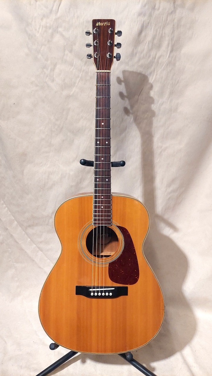 Morris MF-207（中古）【楽器検索デジマート】