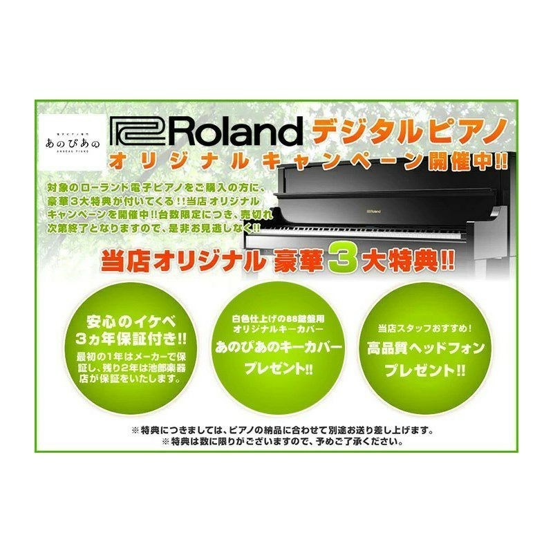 保障 ローランド Roland P-3-PES 黒鏡面仕上げ