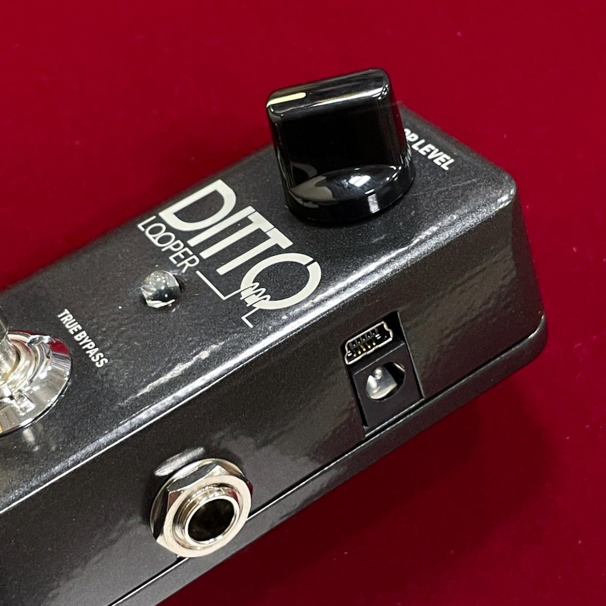 tc electronic DITTO LOOPER（新品/送料無料）【楽器検索デジマート】
