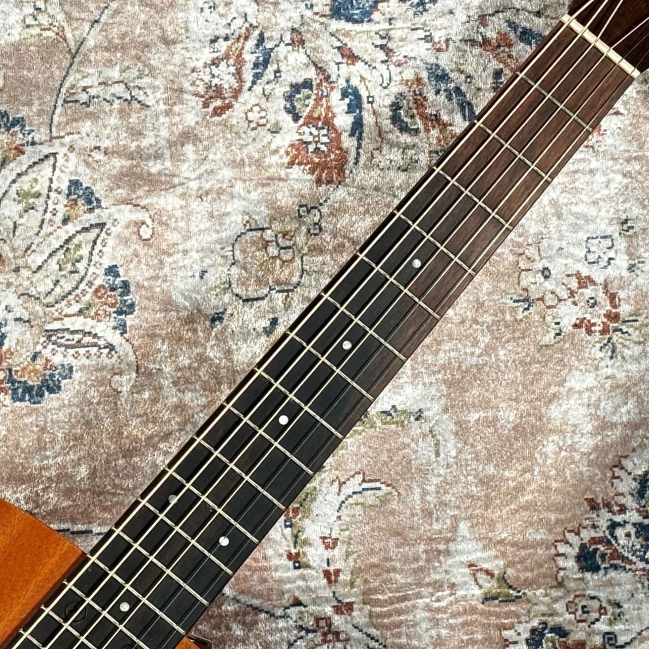 Taylor BT2（新品/送料無料）【楽器検索デジマート】