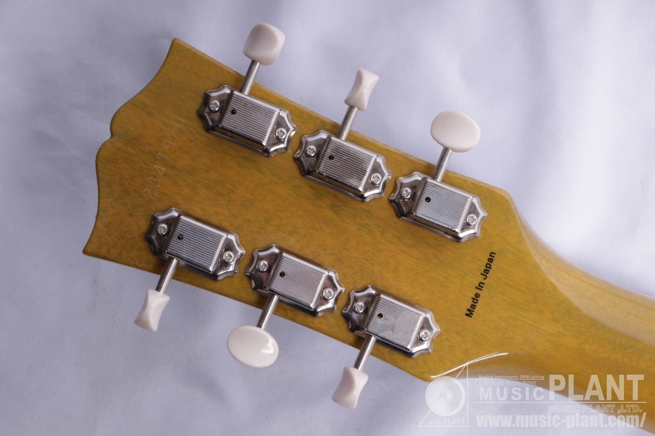 Tokai LSS136 SYW（新品/送料無料）【楽器検索デジマート】