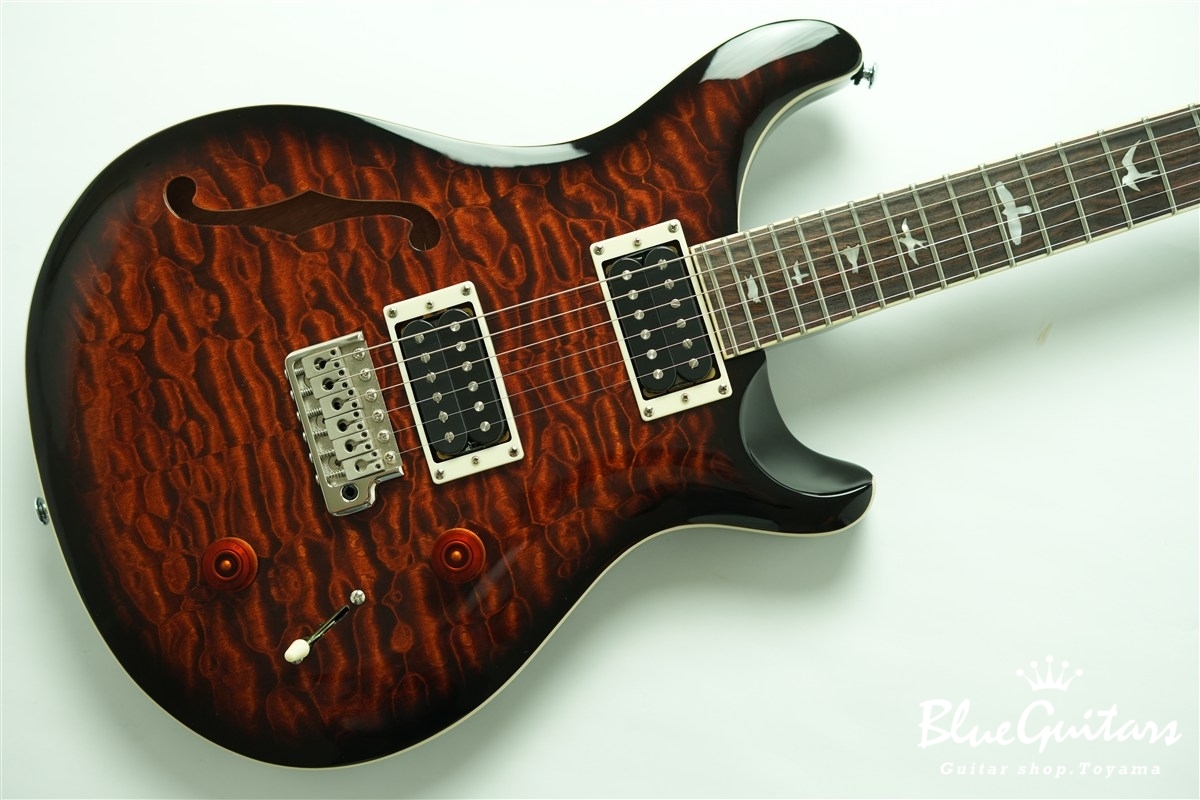 Paul Reed Smith(PRS) SE Custom 22 Semi-Hollow Quilt Maple Top