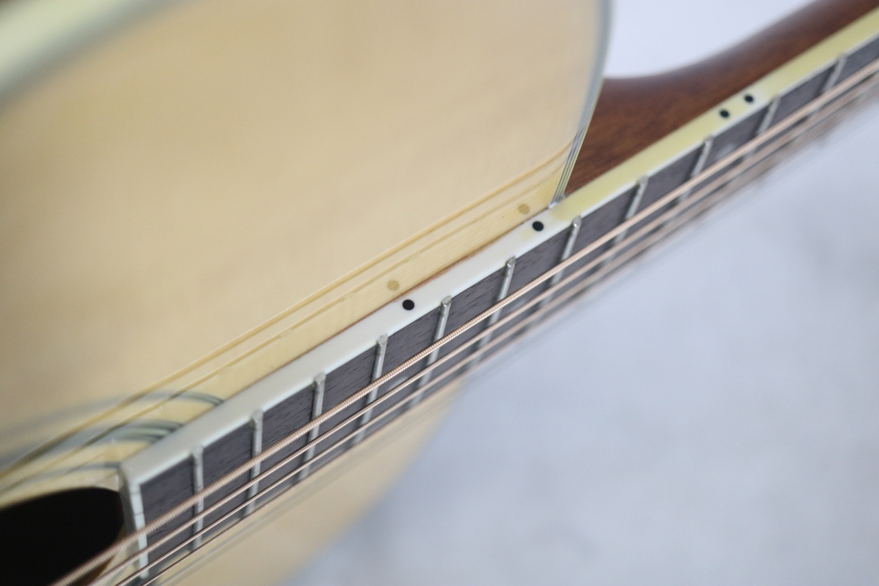 Morris MF-251KN（中古）【楽器検索デジマート】