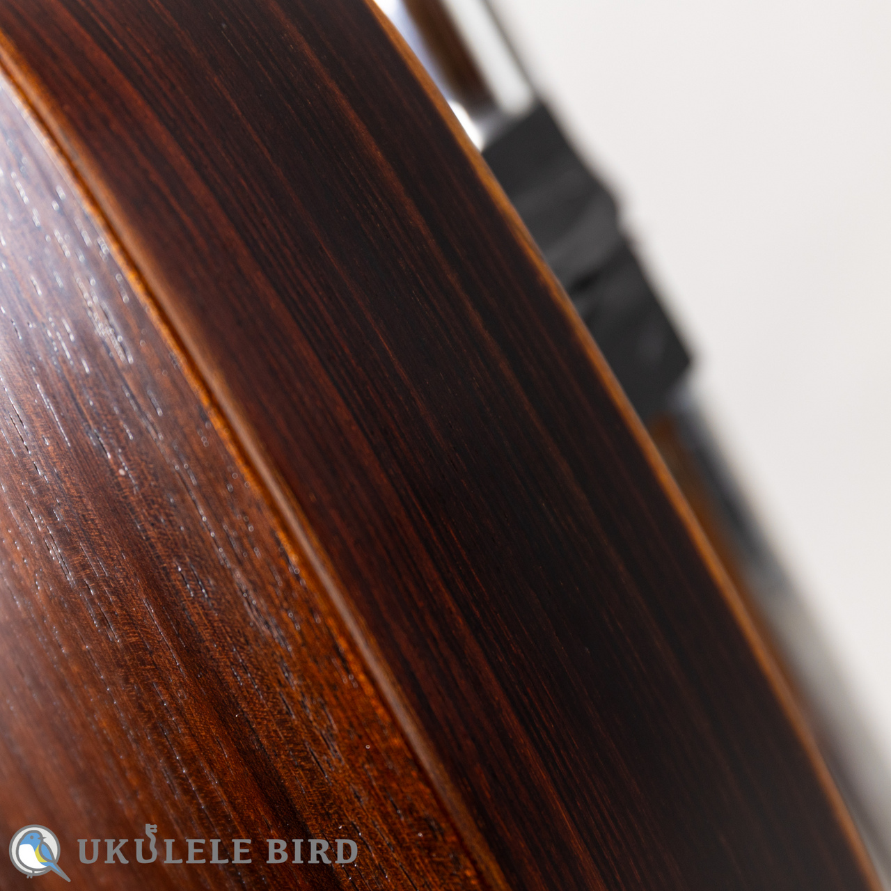 da h(ダ・アッカ) ukulele concert 14f pineapple koa rosewood（新品