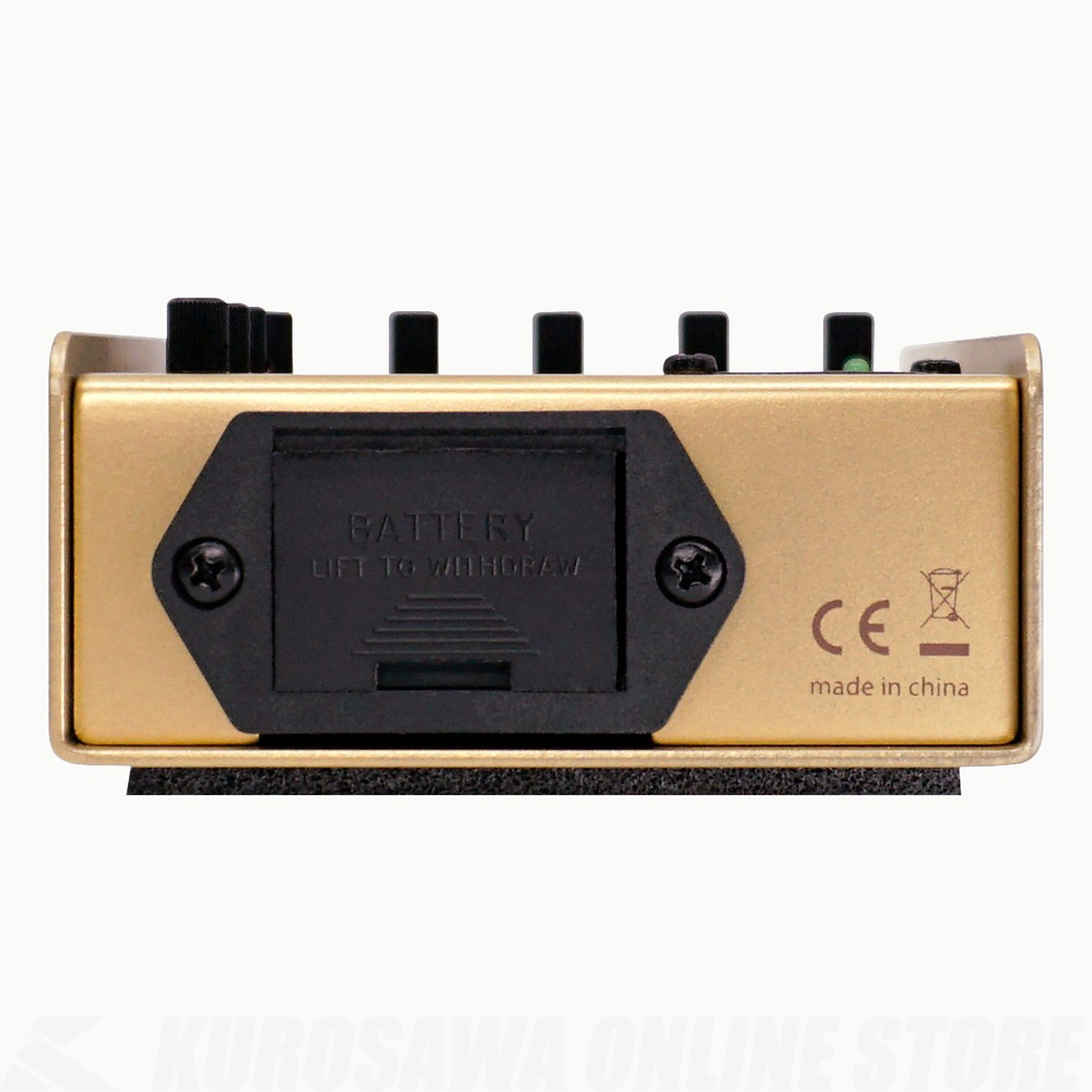 レコーディングキング　美品 オール単板　即戦力000モデル LR.BAGGS L.R.Baggs 50th Anniversary Gold Para Acoustic D.I. 《限定