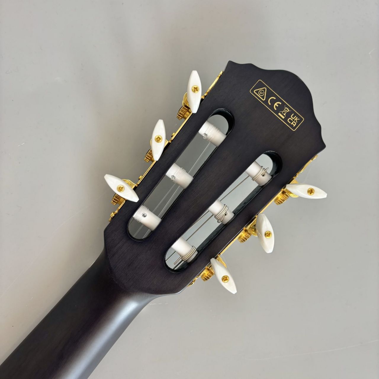 Ibanez FRH20FMN エレガットギター（新品/送料無料）【楽器検索