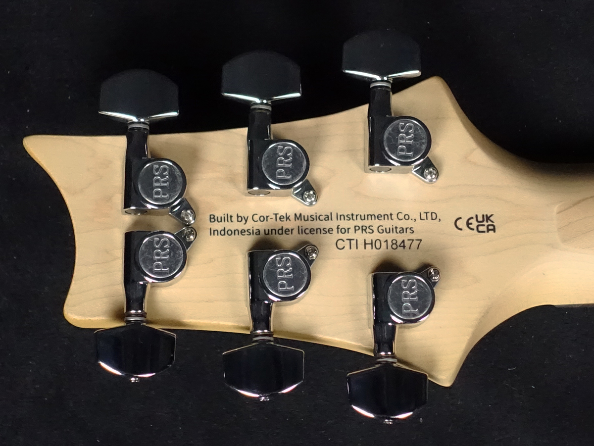 Paul Reed Smith(PRS) SE Studio Standard Sage Green 2025（新品