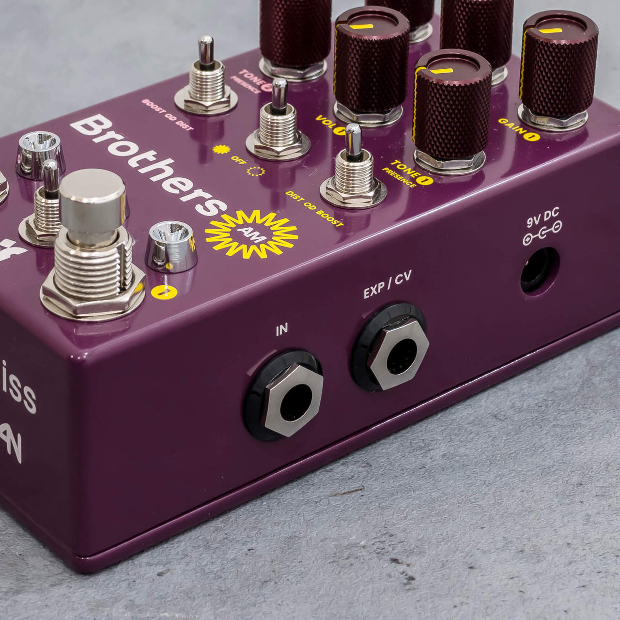Chase Bliss Audio Brothers AM | Reverb