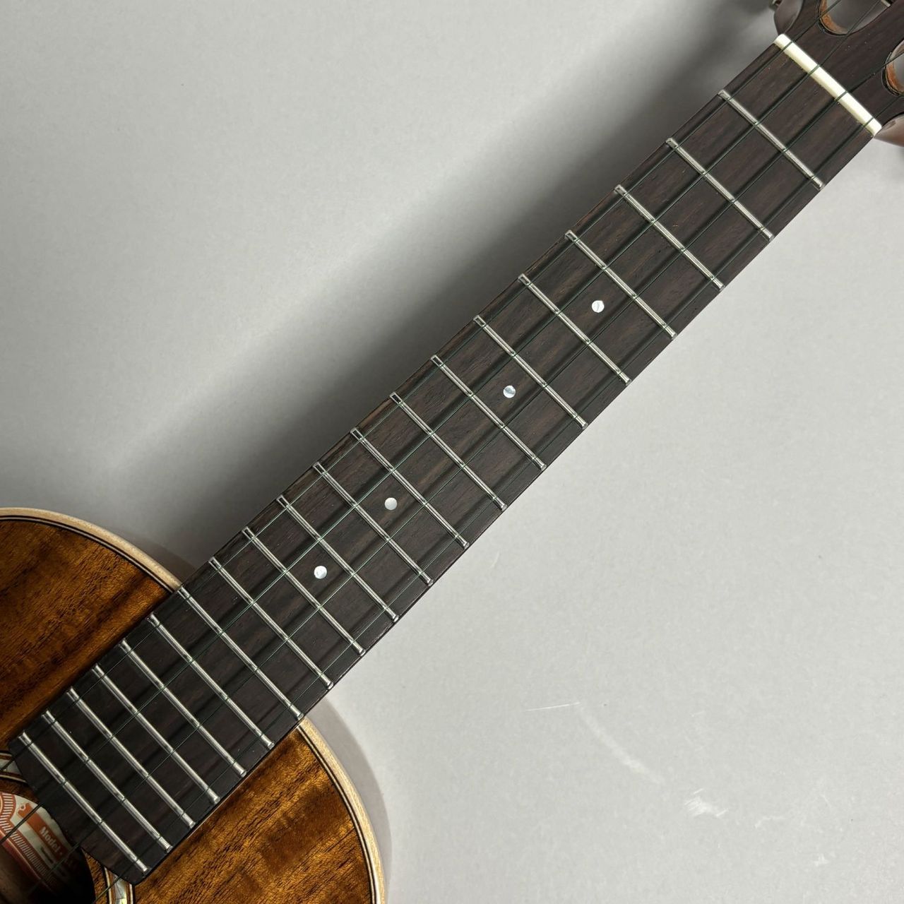 aNueNue （アヌエヌエ）M30 トップ単板、オールアカシアギター aNueNue