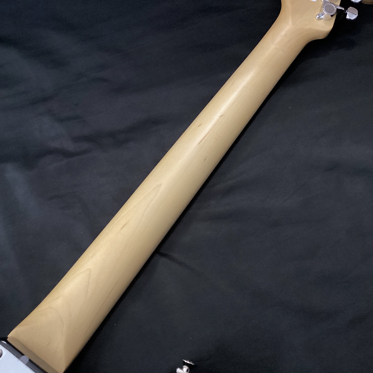 FUJIGEN(FGN) BCST100(フジゲン ストラトキャスター)（新品