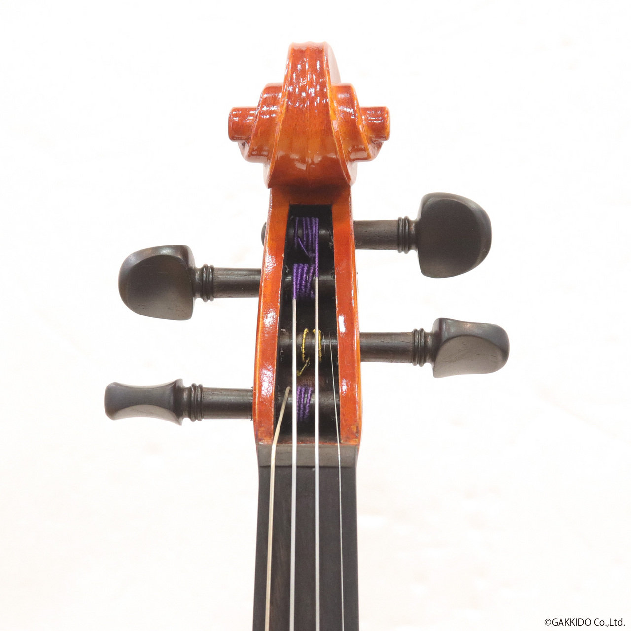 Eastman VL80 Set 3/4Size 2023年製（中古）【楽器検索デジマート】