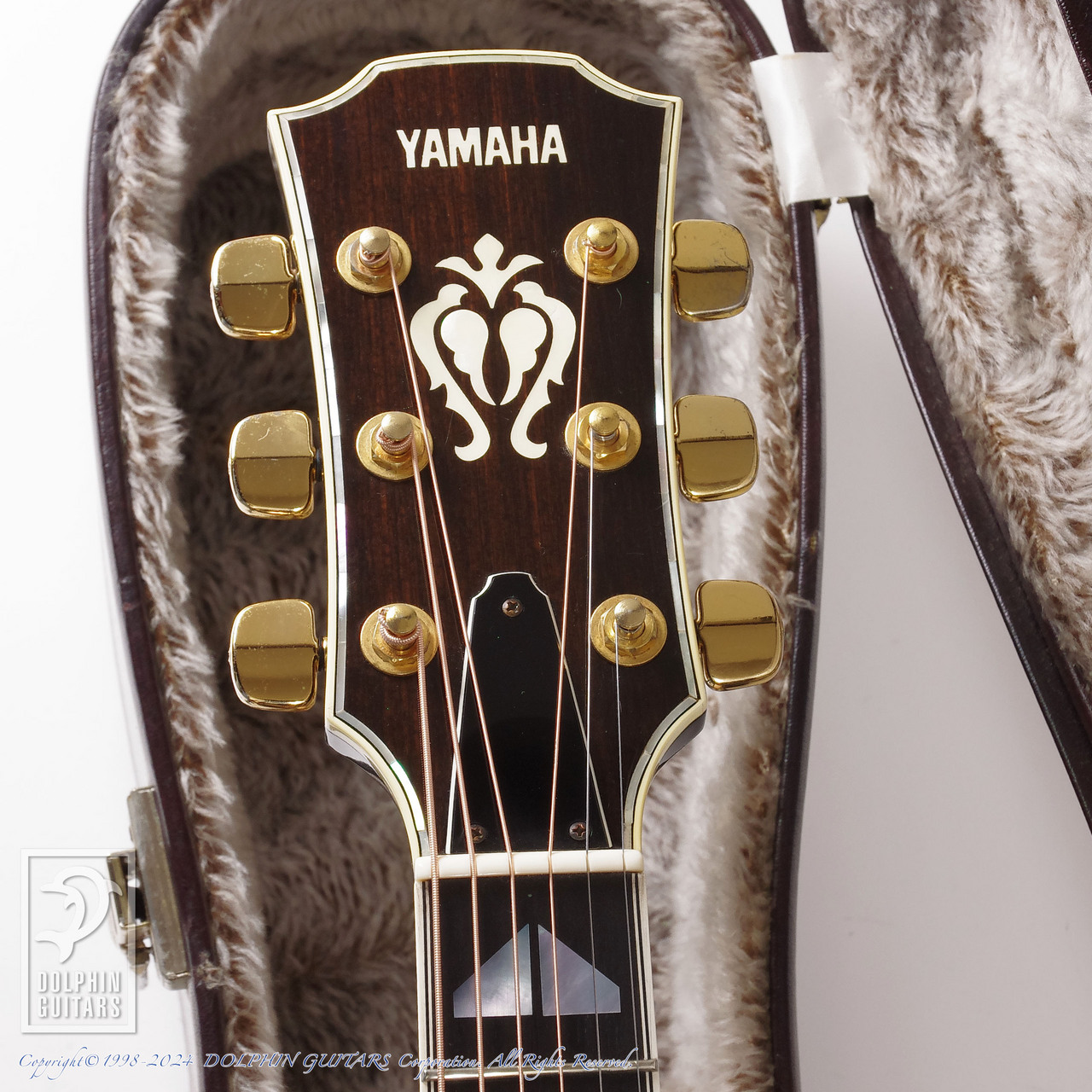 YAMAHA CJ-52 Custom（ビンテージ）【楽器検索デジマート】