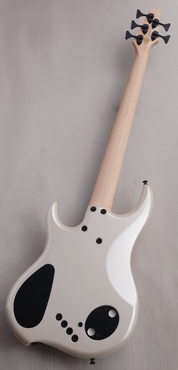 DINGWALL 【48回無金利】Z3 5st -Burled Maple Top-【USED