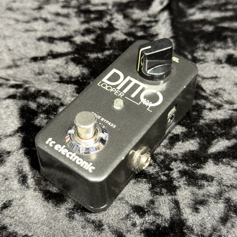 tc electronic Ditto Looper 【新宿店】（中古）【楽器検索デジマート】
