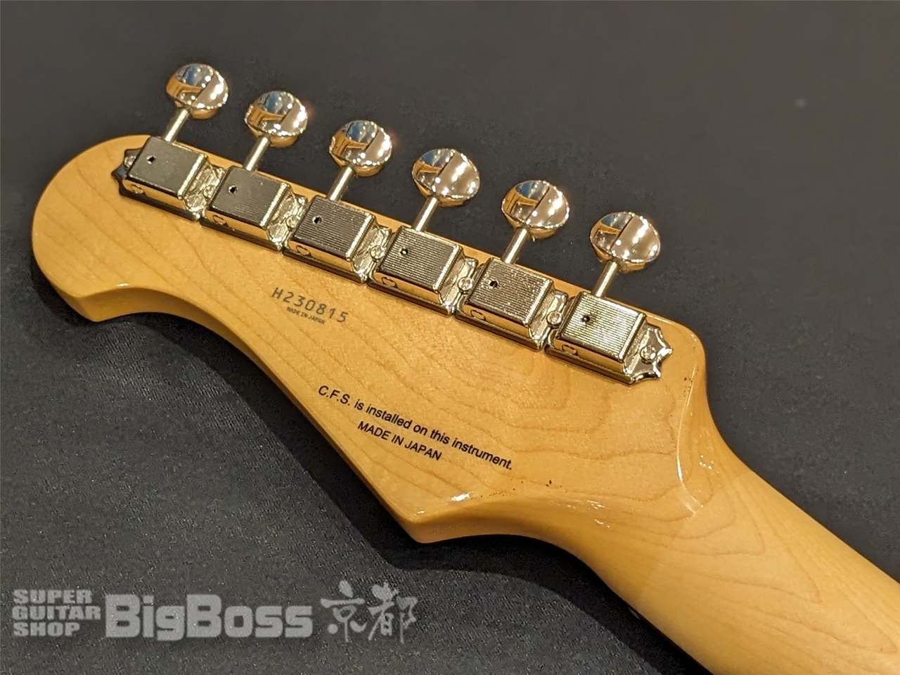 FUJIGEN(FGN) NST100RAL / Old Lake Placid（新品/送料無料）【楽器