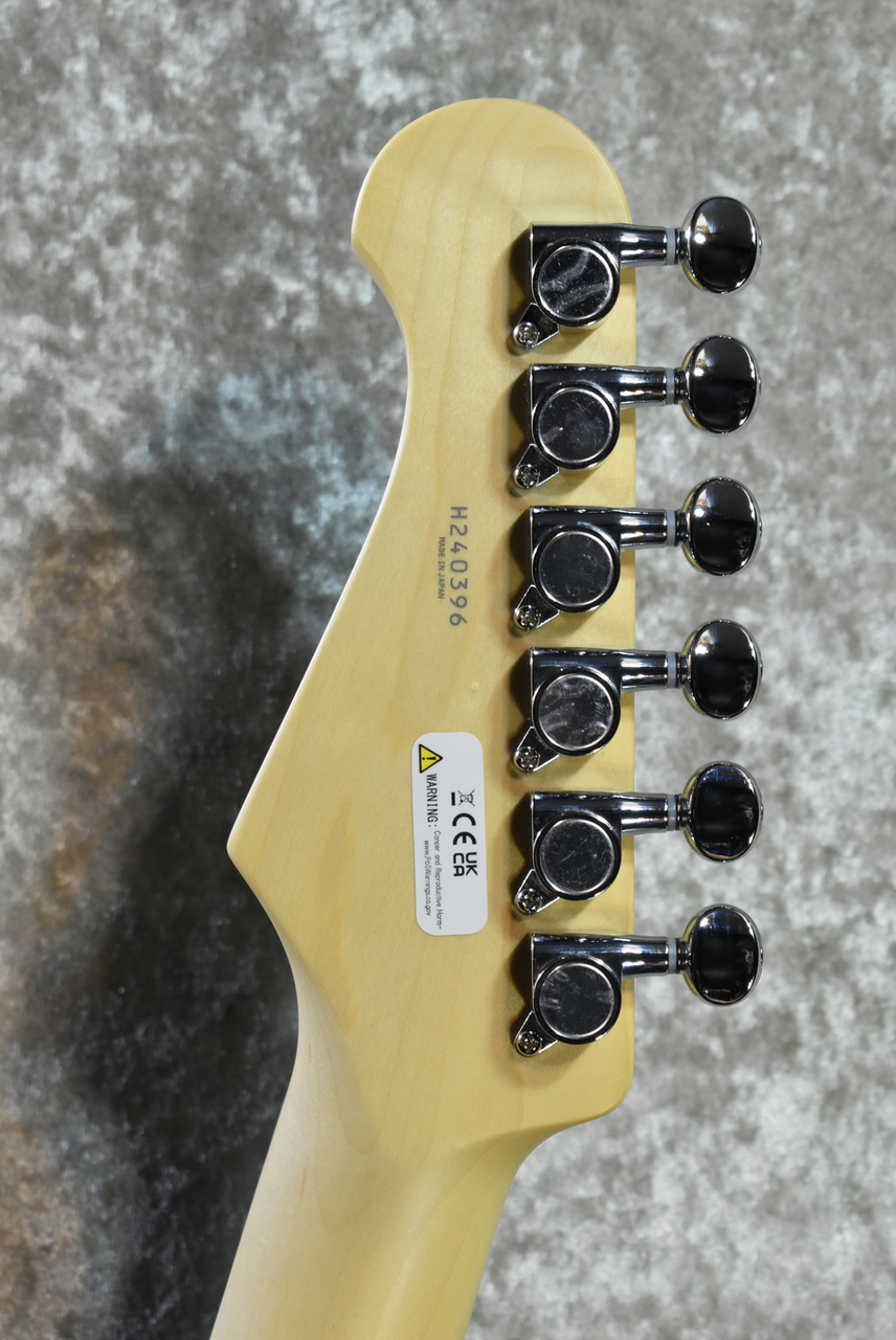 FUJIGEN(FGN) BCTE100RBD Metallic Blue #H240396【3.53kg