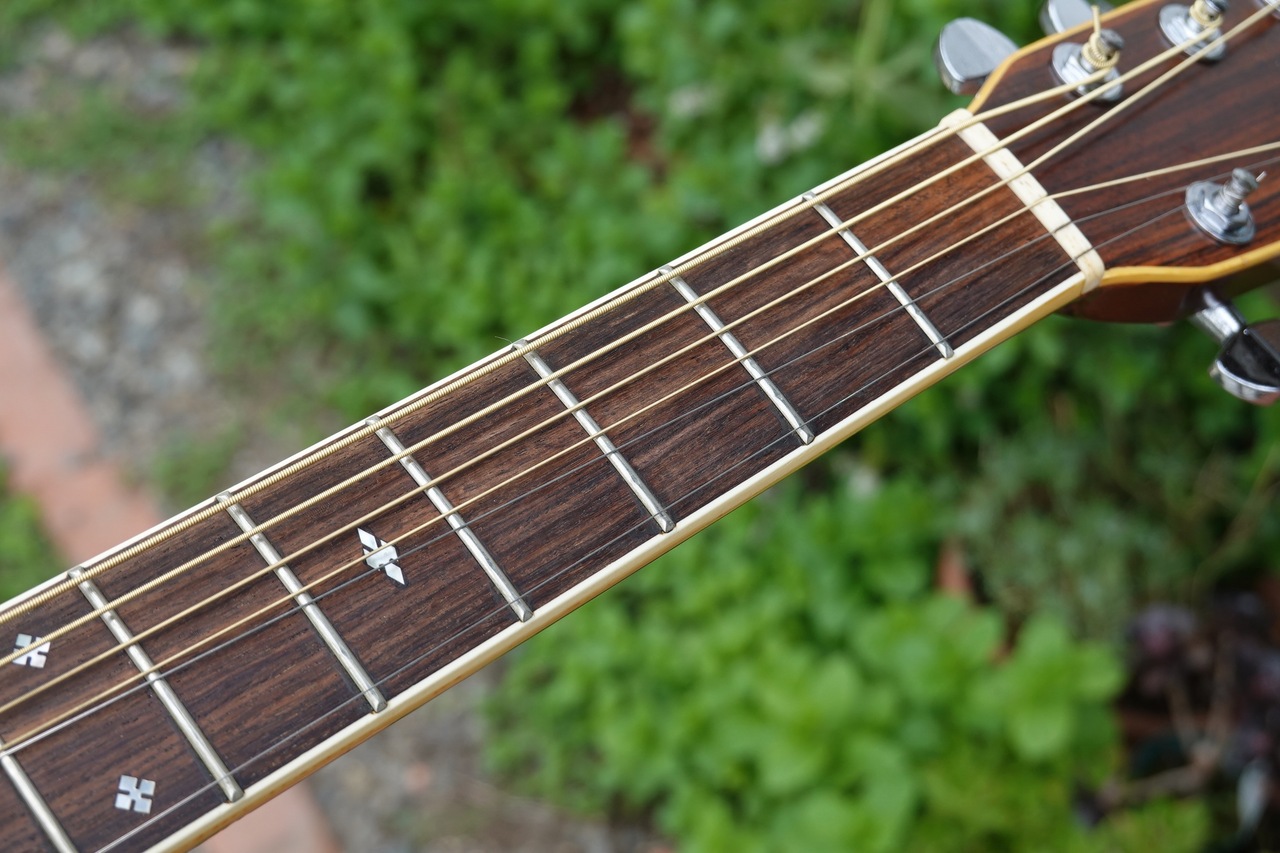 Takamine Elite TW-30（ビンテージ）【楽器検索デジマート】
