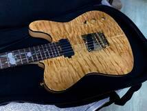 Aria Pro 日本製 natural Aria Pro II TEG-780 N (Natural) アリアプロ2【限定モデル