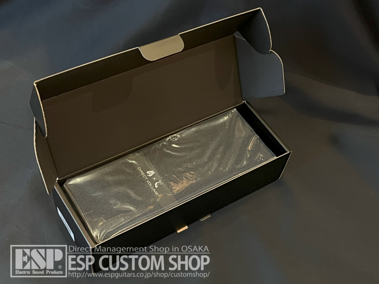 Free The Tone RM-2S with DVL-1EX （中古/送料無料）【楽器検索