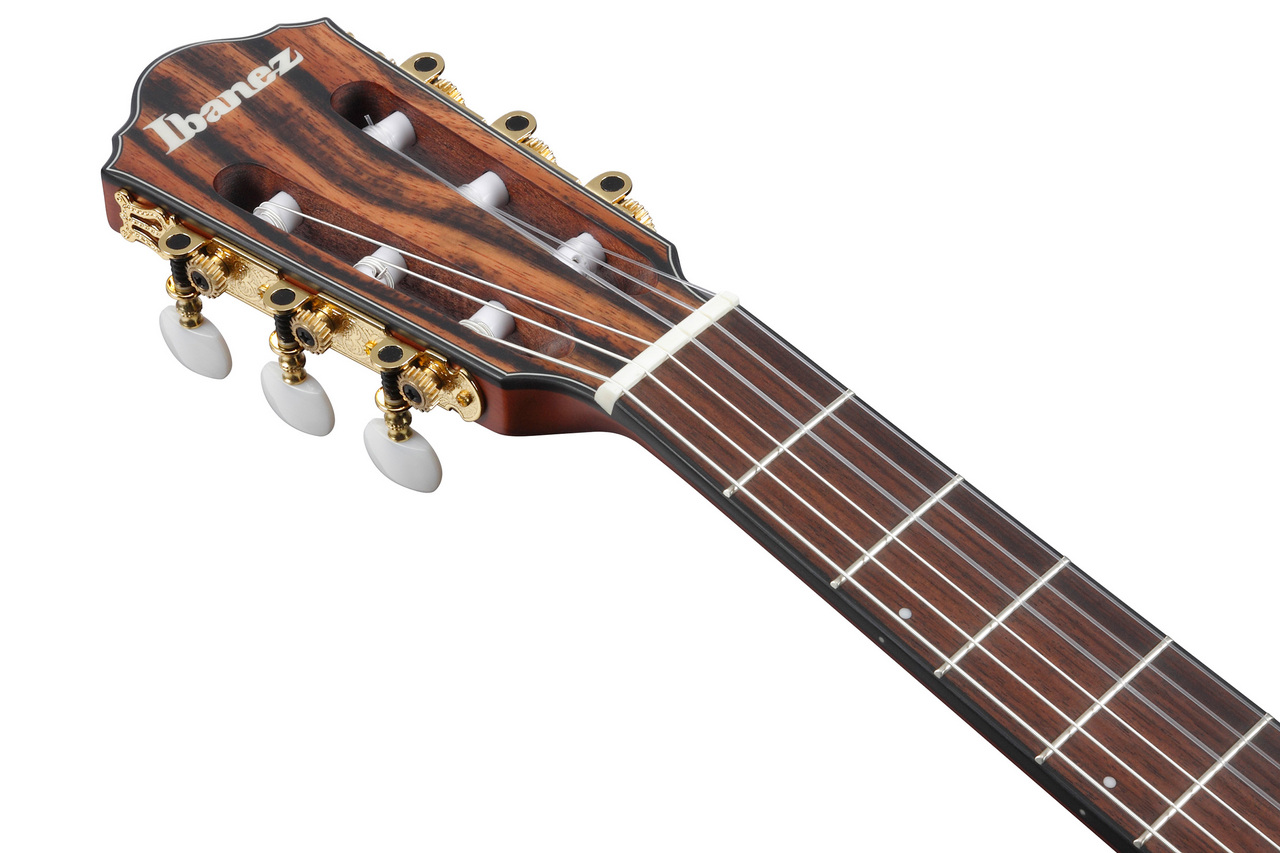 Ibanez FRH10N IBF エレガットギター 限定生産モデル（新品/送料無料