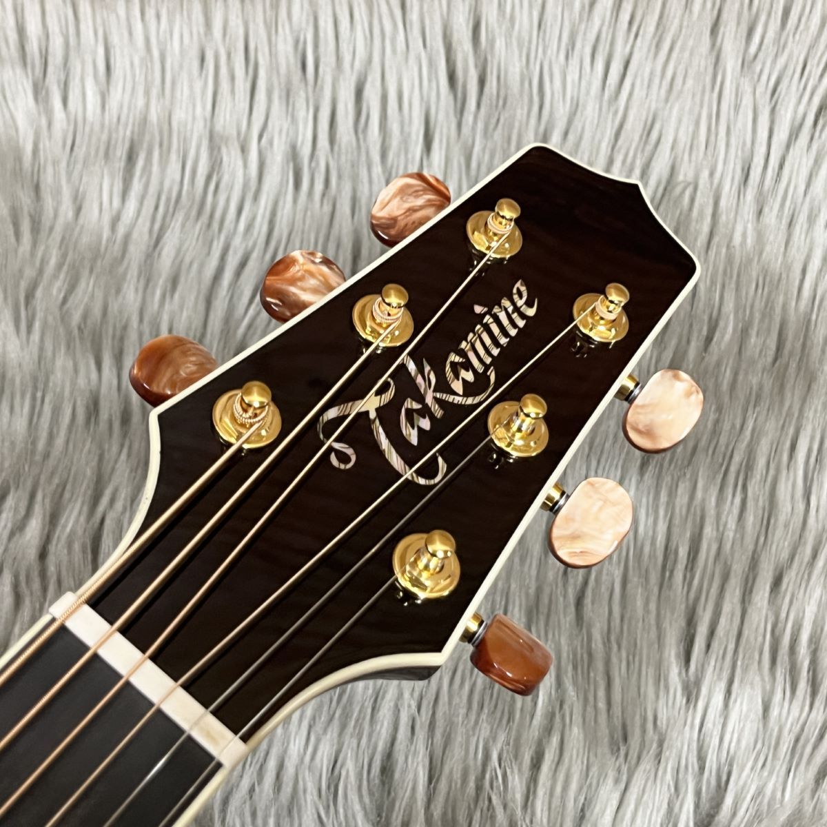 Takamine DMP50S WR エレアコギター セミハードケース付属 【島村楽器 