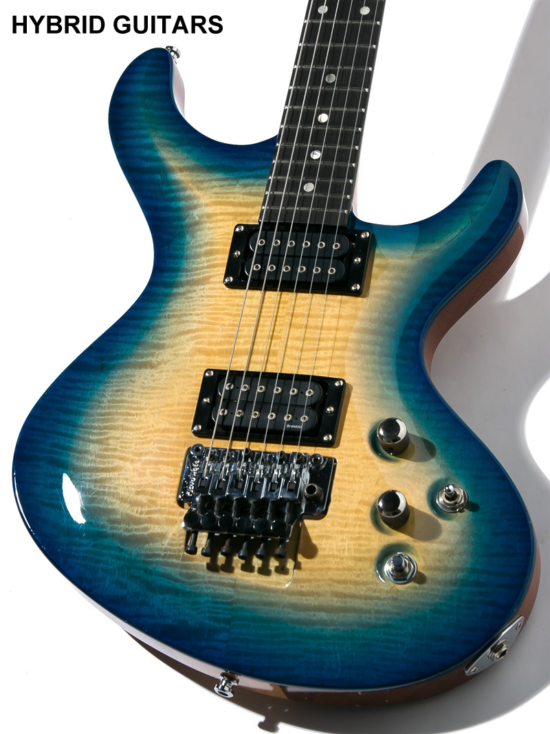 ESP Custom Order Guitar Custom Color（中古）【楽器検索デジマート】
