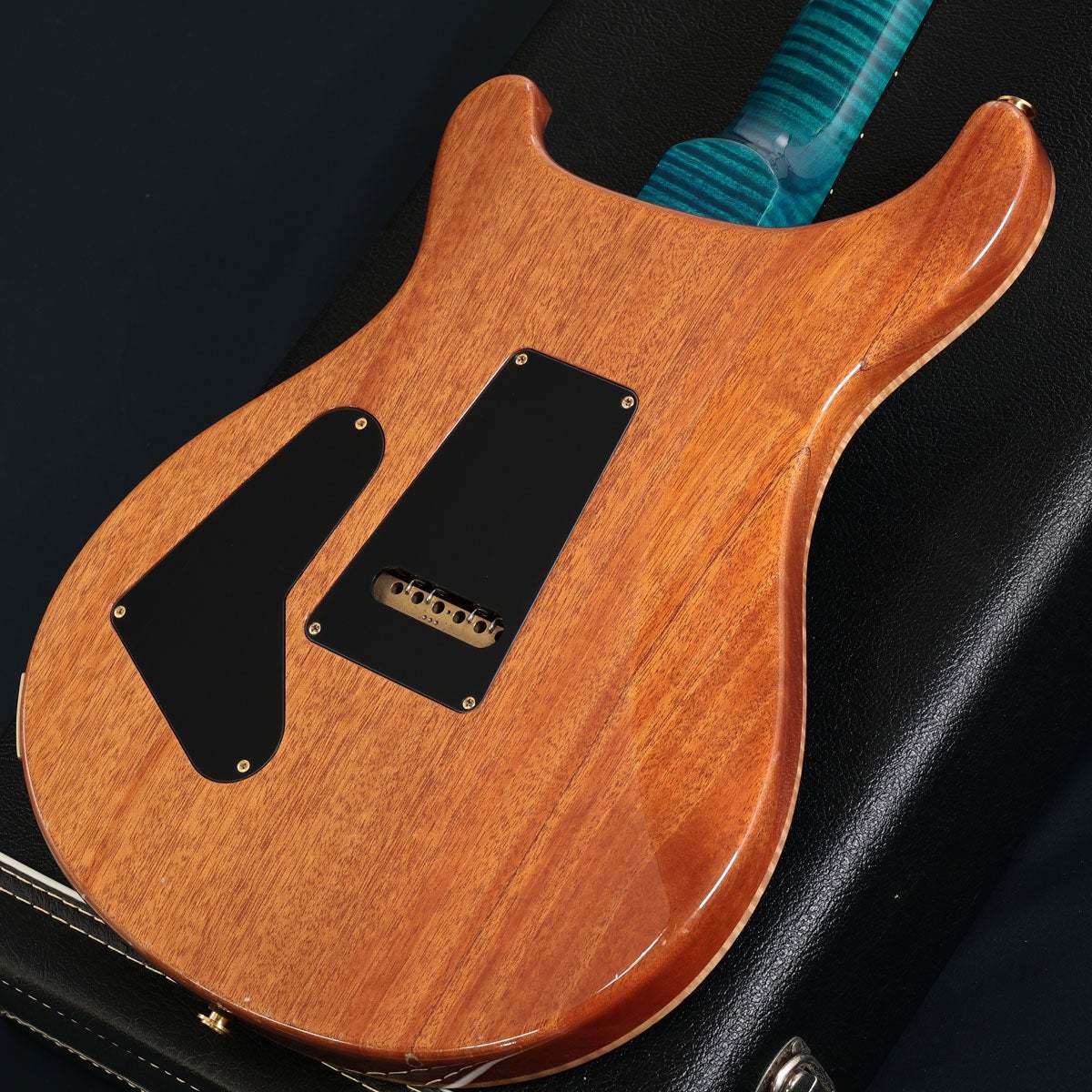 Paul Reed Smith(PRS) Custom 24 10TOP Wood Library 2016 Patten Thin