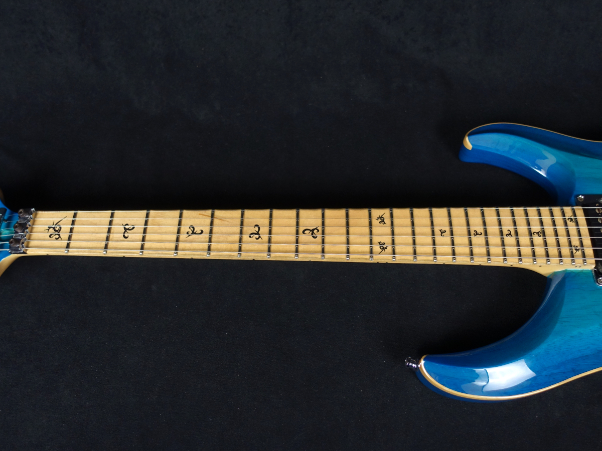 G-Life Guitars DSG Life-Ash Royal Blue Turquoise（中古