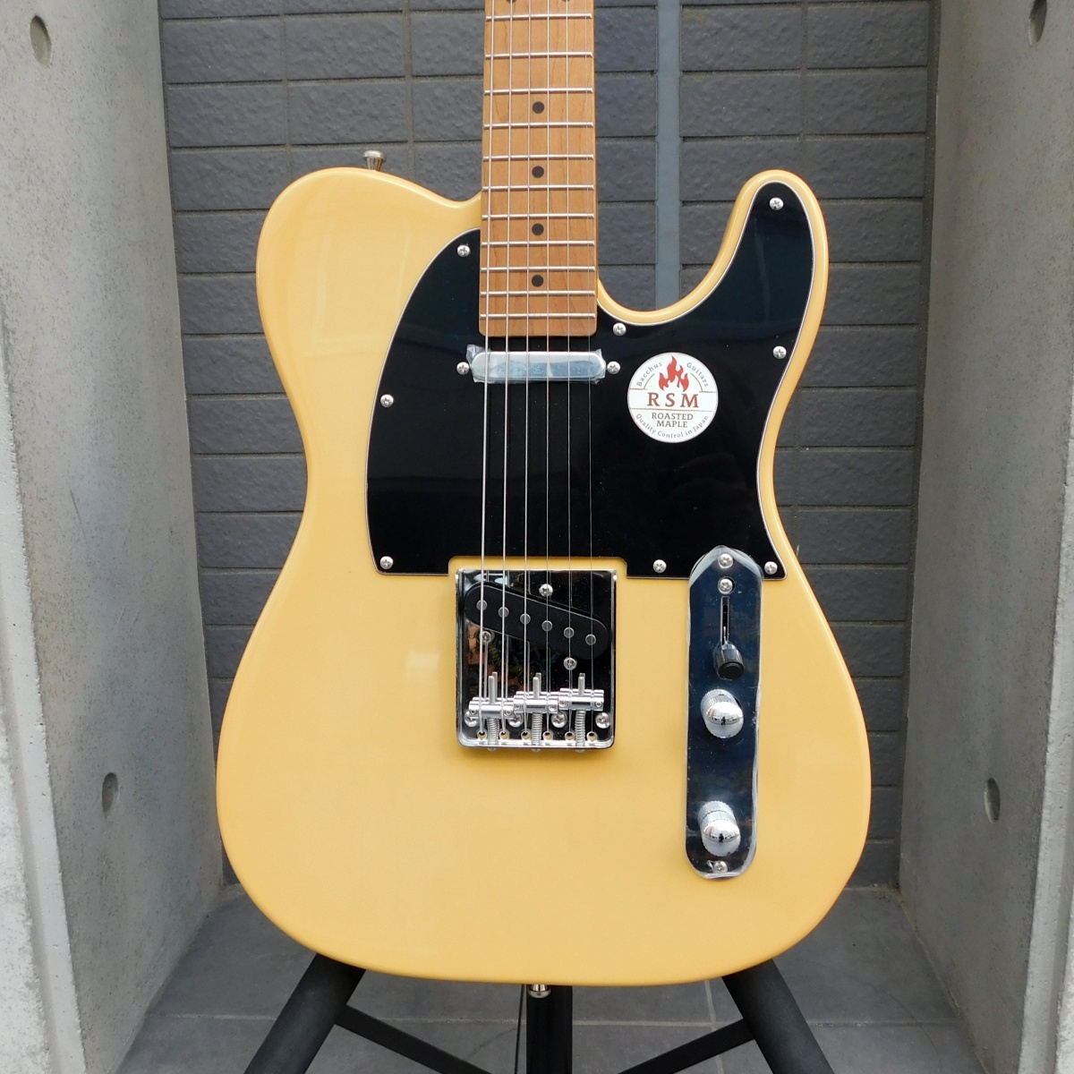 Bacchus BTE-1-RSM/M テレキャスタータイプ（中古）【楽器検索デジマート】