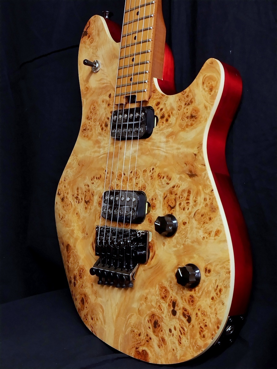 EVH Wolfgang WG Standard Exotic BKD MPL POPLAR BURL（新品特価）【楽器検索デジマート】