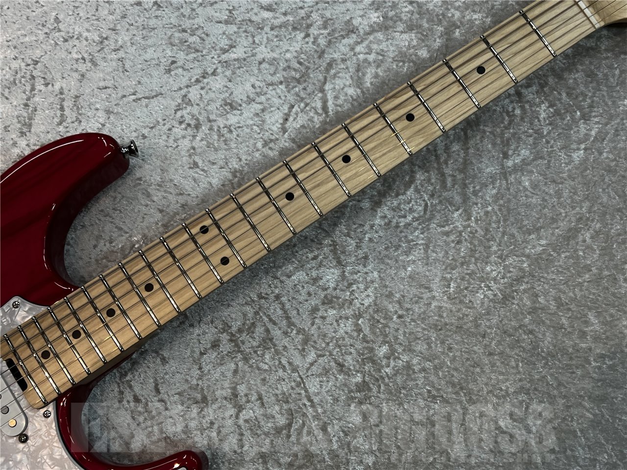 EDWARDS E-SNAPPER-AS/M (See Thru Pink)（新品特価/送料無料）【楽器