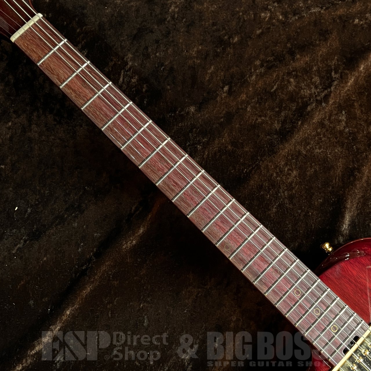 Navigator Custom Order POYBELLY Singlecut Purpleheart L/H（中古
