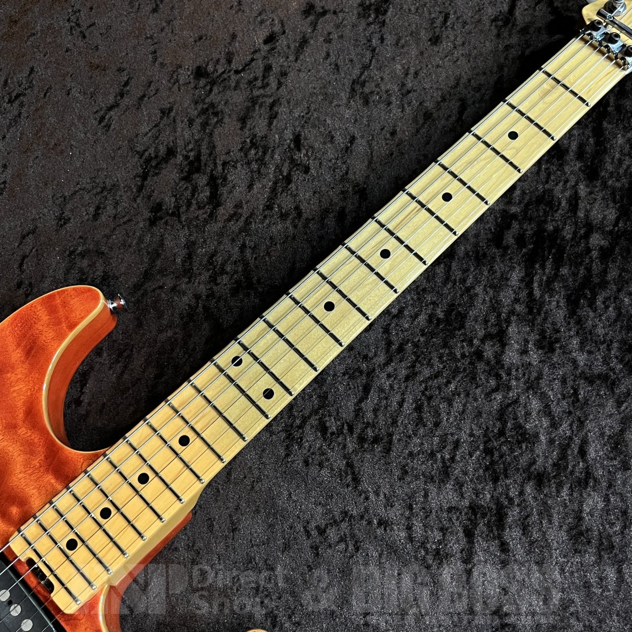 SCHECTER EX-VB-22-CTM FRT（中古/送料無料）【楽器検索デジマート】