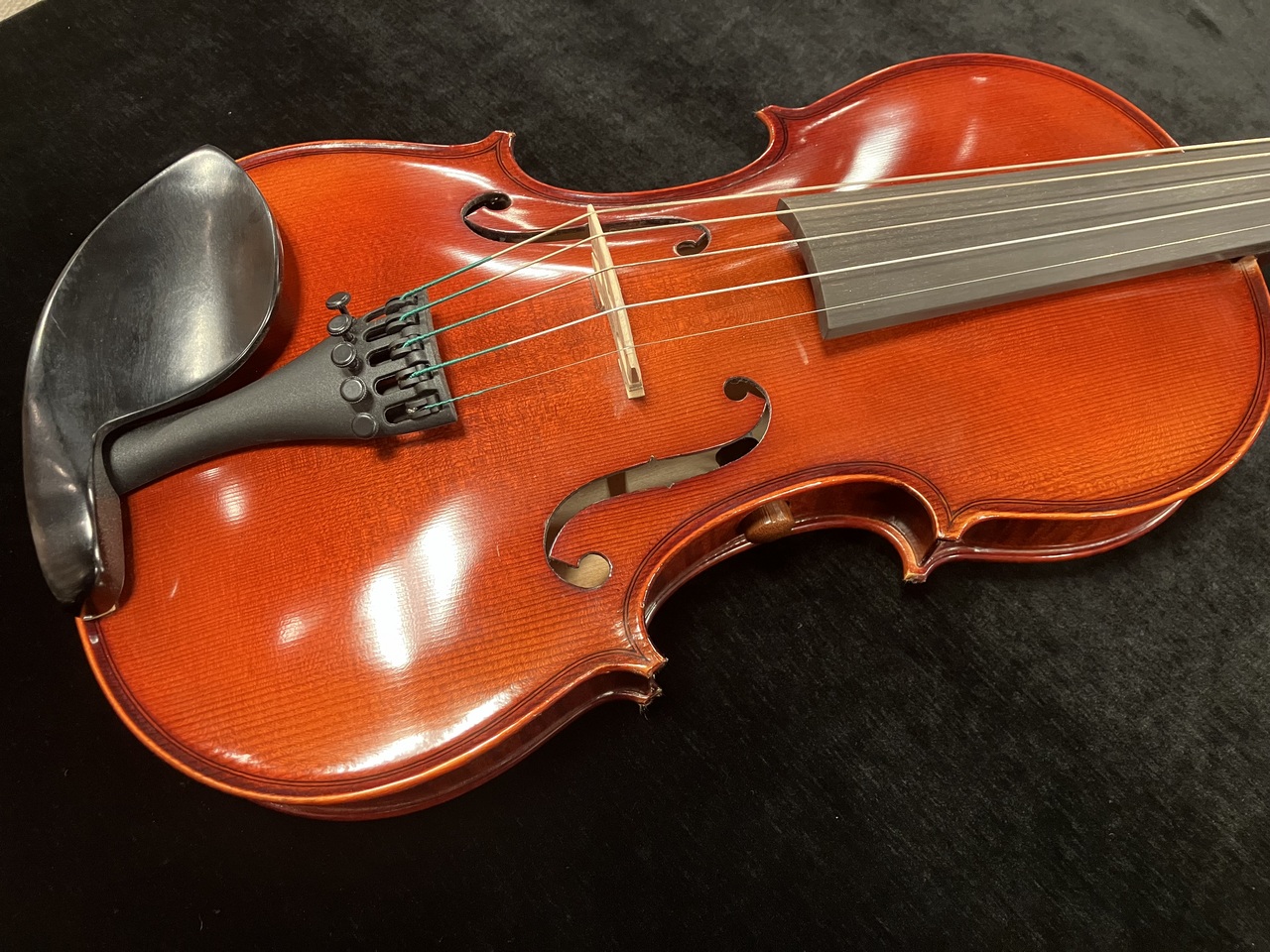 David Gage 【エレキバイオリン】 RV5e 【5弦バイオリン】【無金利