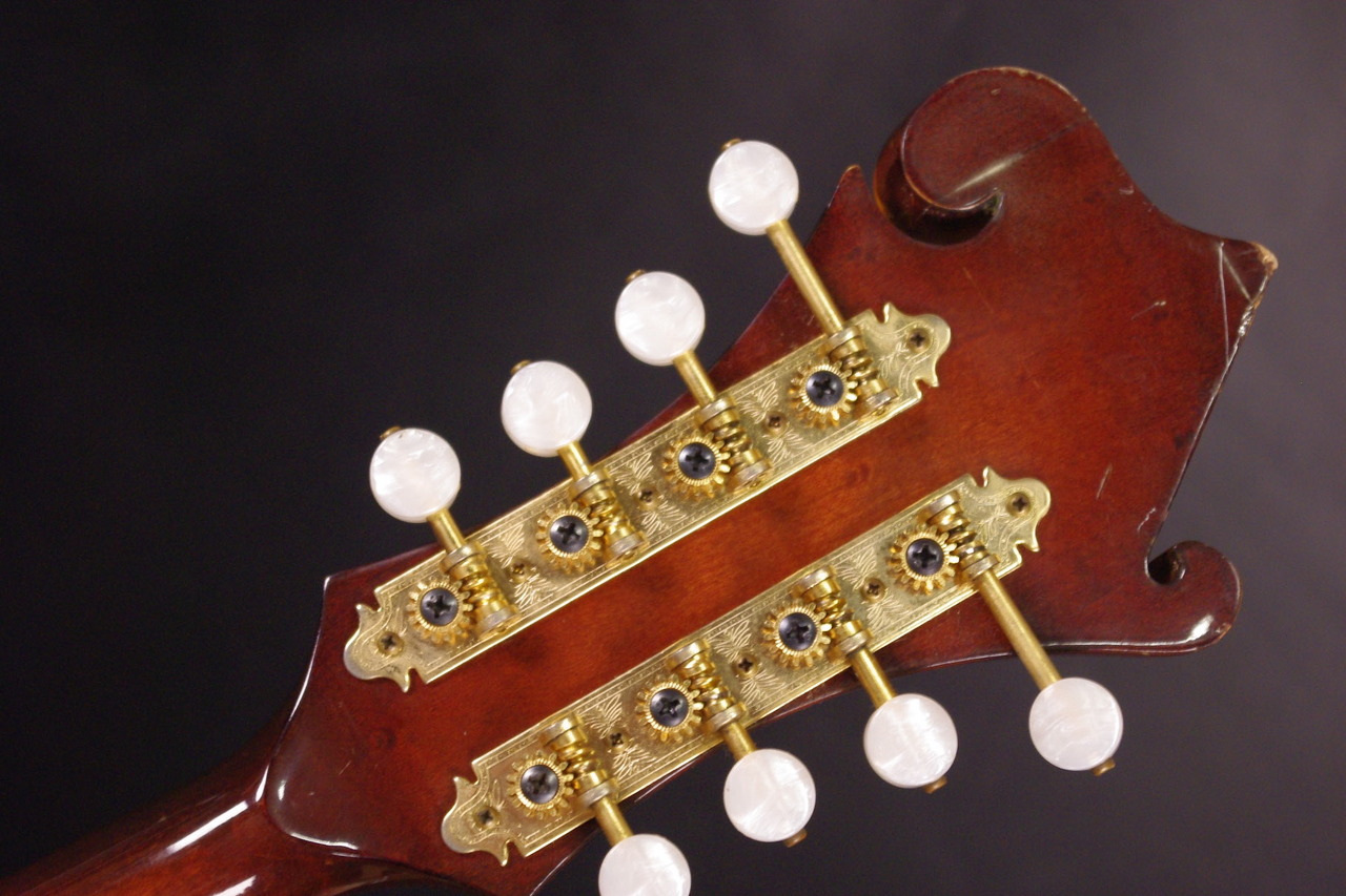 ギター THE KASUGA M-120 THE KASUGA M-120|ドルフィンギターズ