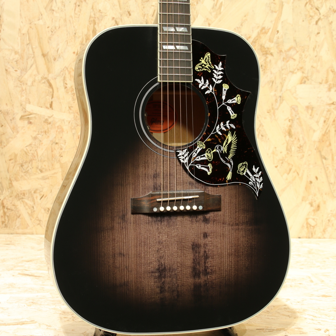 Gibson Hummingbird Red Spruce Trans Ebony（新品）【楽器検索