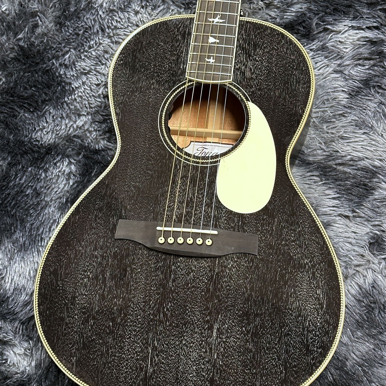 Paul Reed Smith(PRS) SE P20E Parlor Dog Hair【NEWカラー