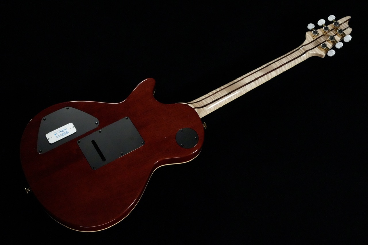 T's Guitars Arc-Singlecut22 Hollow 5A Exotic Flame/Custom