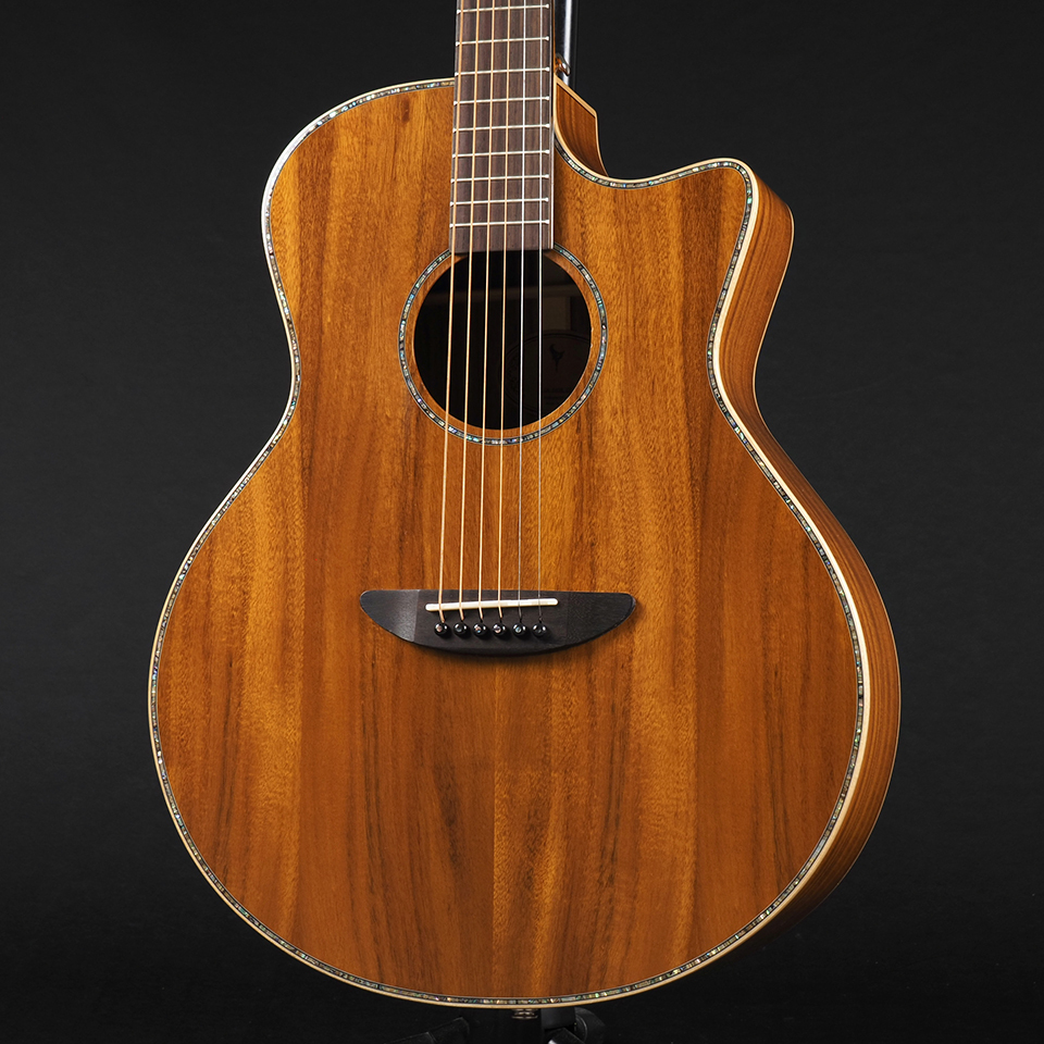 DCT GR-645K CE ~Natural Gloss~（新品/送料無料）［デジマートSALE