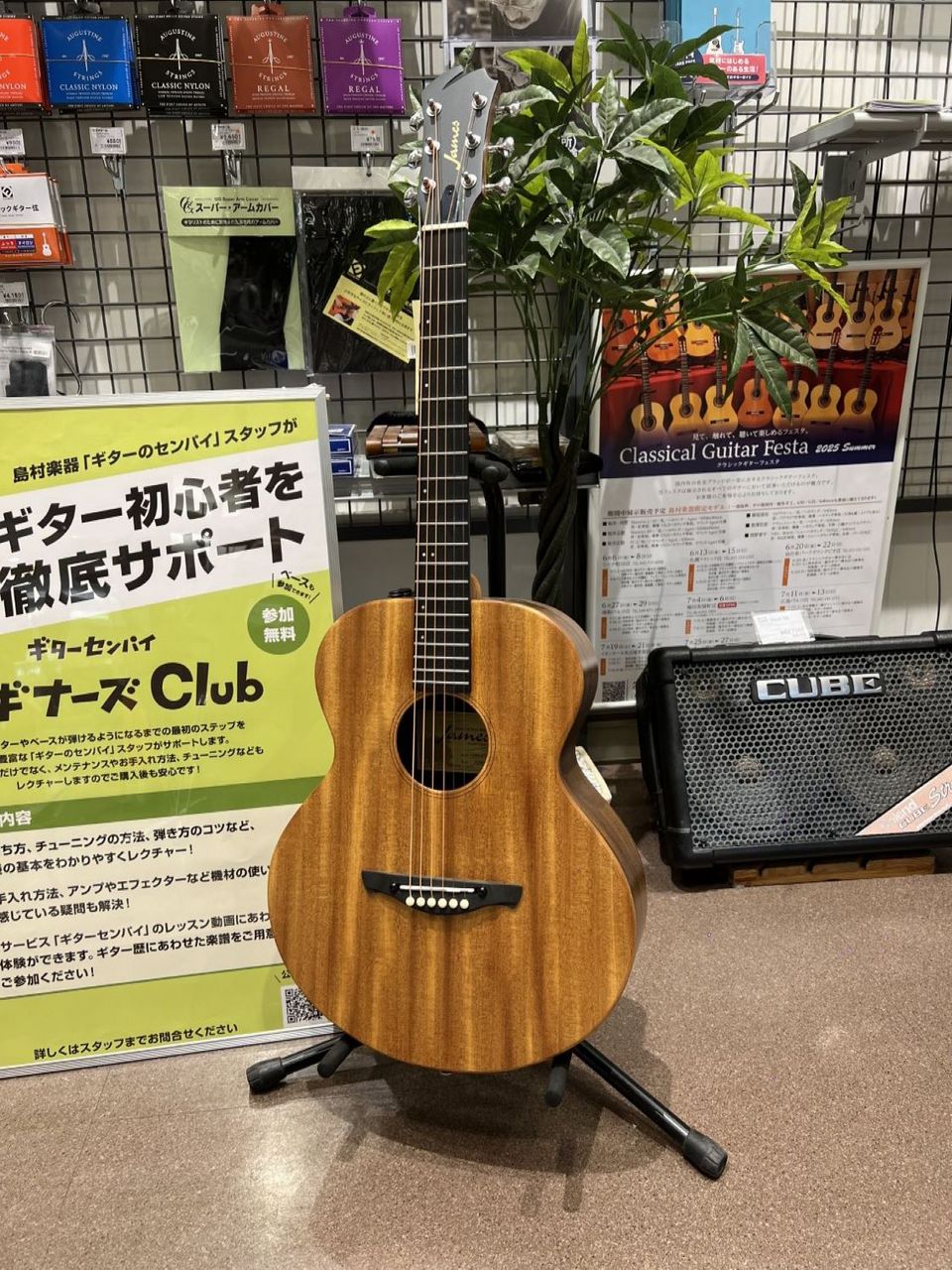 James J-300AIICompact SMH ミニギター エレアコ（新品/送料無料