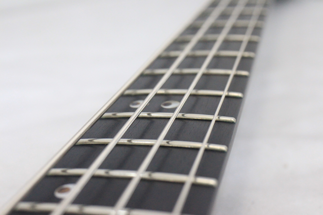 EDWARDS E-FR-110B（中古）【楽器検索デジマート】