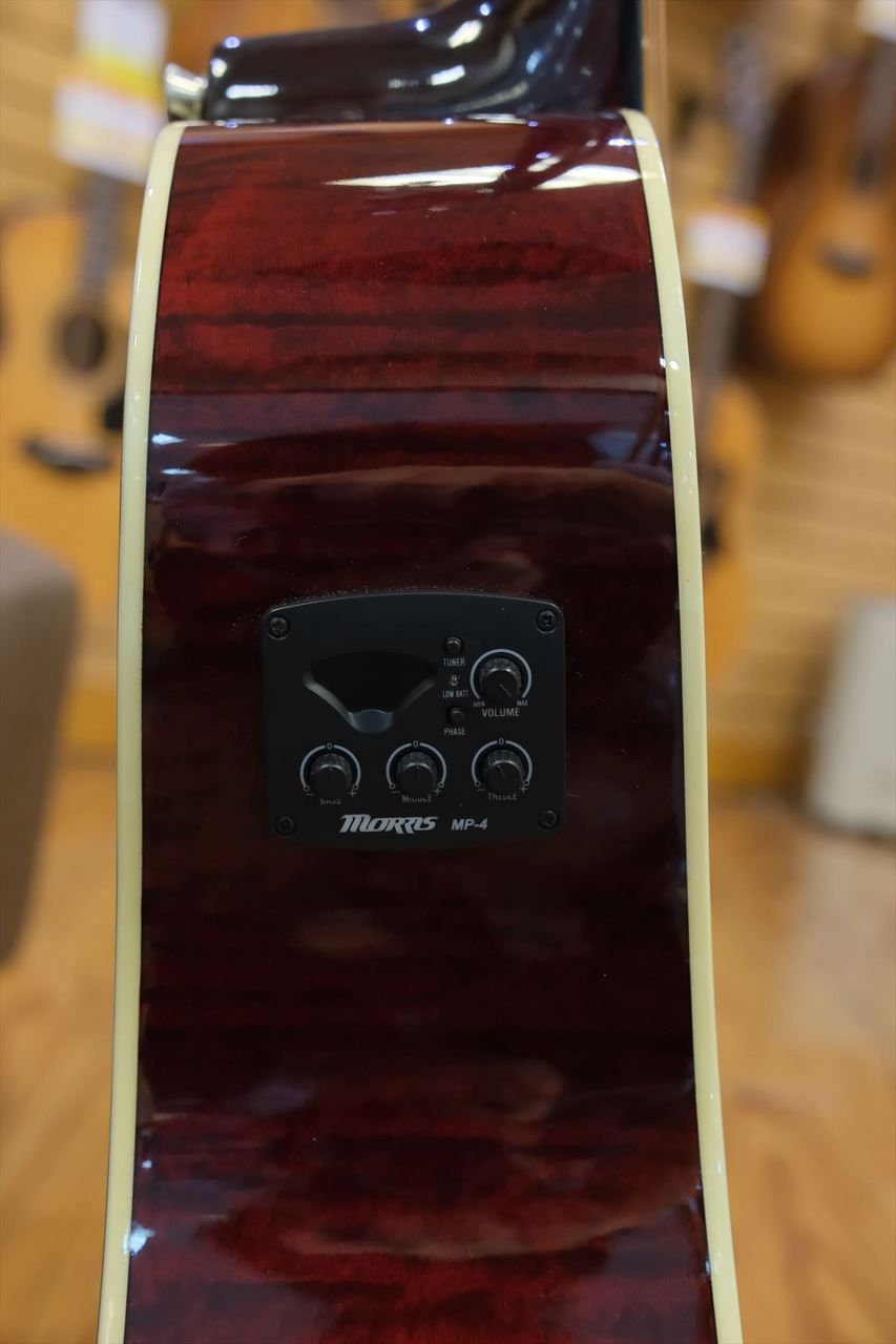 Morris G-021E / WR（新品/送料無料）【楽器検索デジマート】