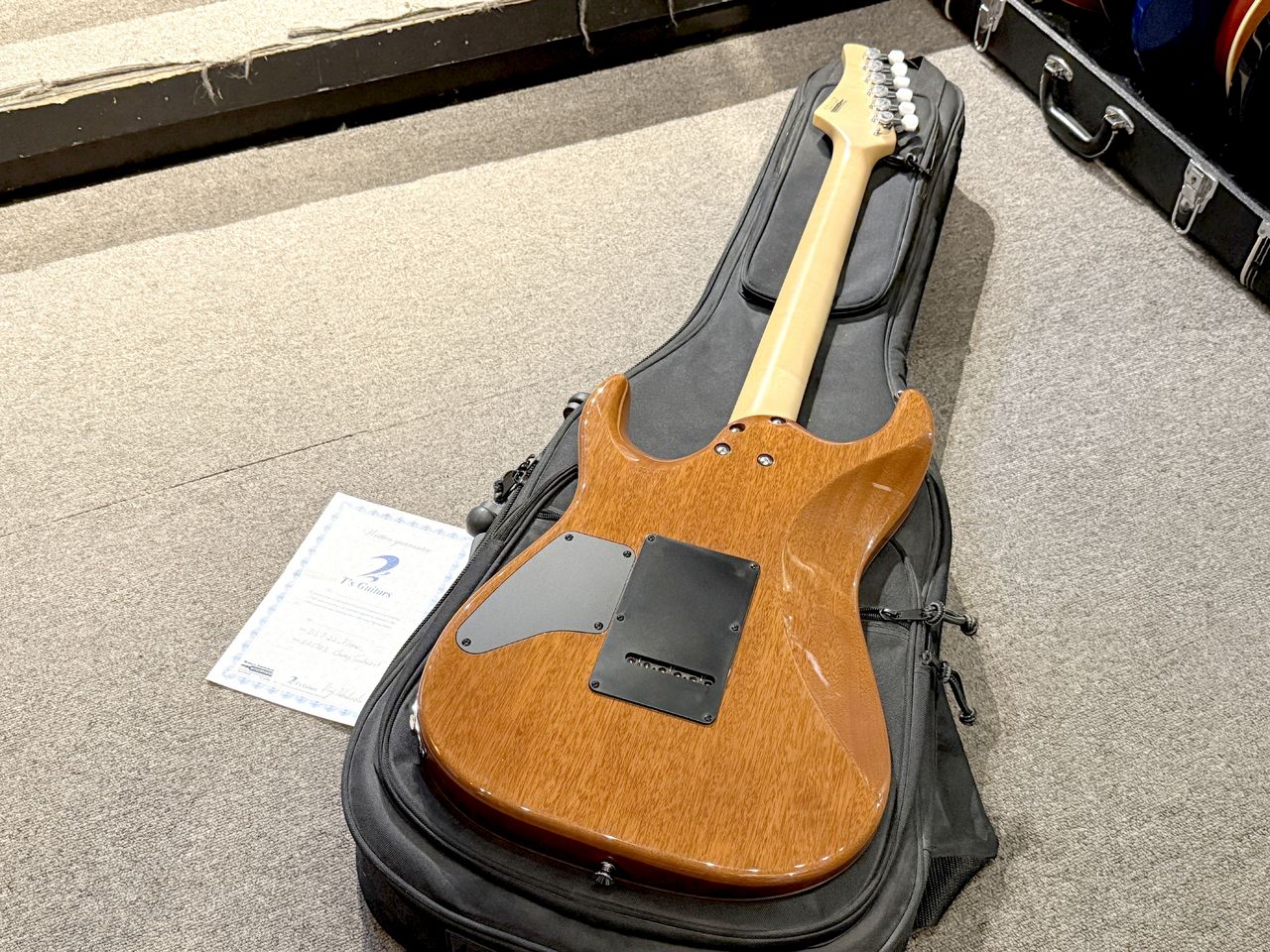 ギター T's guitars DST-22 T's Guitars DST-22 Master Quilt | Arctic Blue ティーズギター