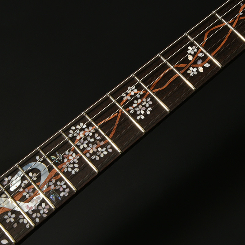 Zemaitis METAL FRONT MFG-AC-24 Diamond & Z Black 【Made in